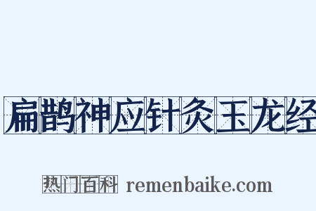 扁鹊神应针灸玉龙经是什么意思的图片